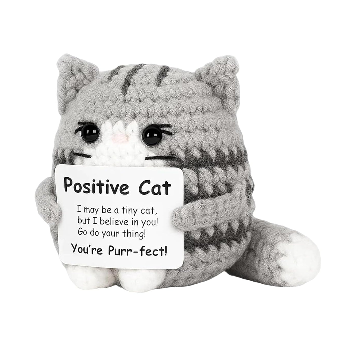 A gray and white striped crochet cat plush toy holding a white sign that reads 'Positive Cat I may be a tiny cat, but I believe in you! Go do your thing! You're Purr-fect!'.